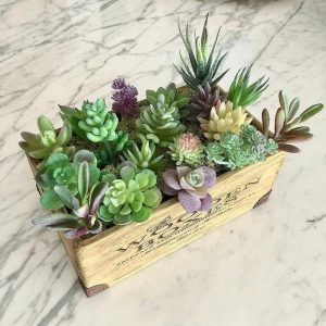 Artificial Succulents | Creative Artificial Flower Diy Plant Wall Accessories For Succulents Set Artificial Plants Artificial Succulents