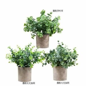 Bonsai Set | Artificial 2-Piece Set Succulent Plastic Mini Potted Plant Bonsai Bonsai Set