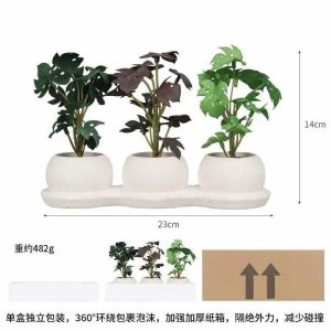 Bonsai Set | Artificial Three Leaf Clover Combination Potted Plant Bonsai Bonsai Set