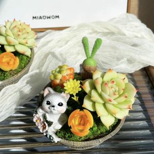 Clay Succulents | Realistic Clay Artificial Cat Pot Succulents Plants In Pots Home Decor Clafts & Pots Clay Succulents