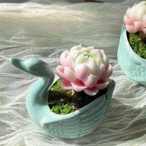 Clay Succulents | Realistic Clay Artificial Elegans Alba Succulents Plants In Pots Home Decor Clafts & Pots Clay Succulents