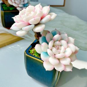 Clay Succulents | Realistic Clay Artificial Spring Rain Succulents Plants In Pots Home Decor Clafts & Pots Clay Succulents