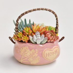 Pot | Succulent Hand-Held Basket Flower Pot Clafts & Pots Pot