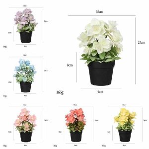 Flowers Bonsai | Artificial Nebulized Powder Spraying For Black Plastic Potted Plants Of Begonia Flowers Bonsai Flowers Bonsai